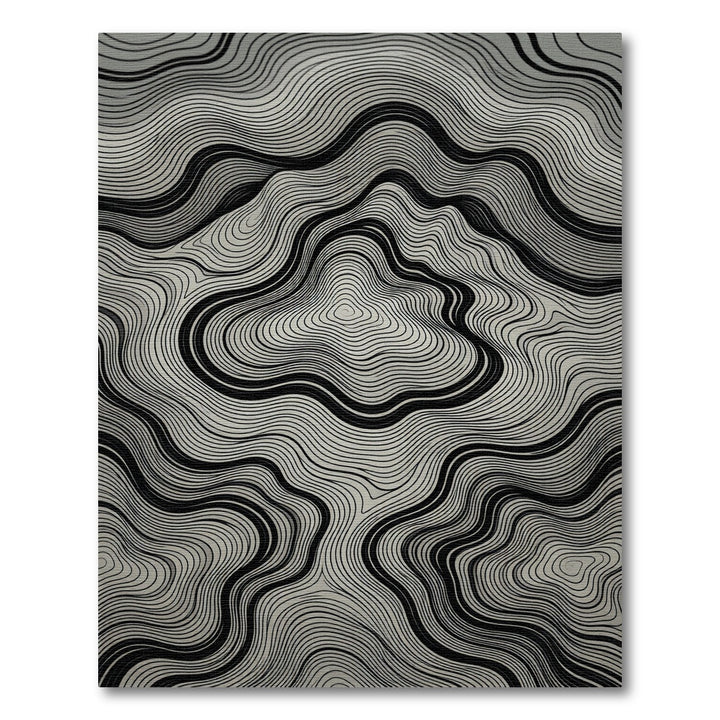 Monochrome Topographic Contours Rug