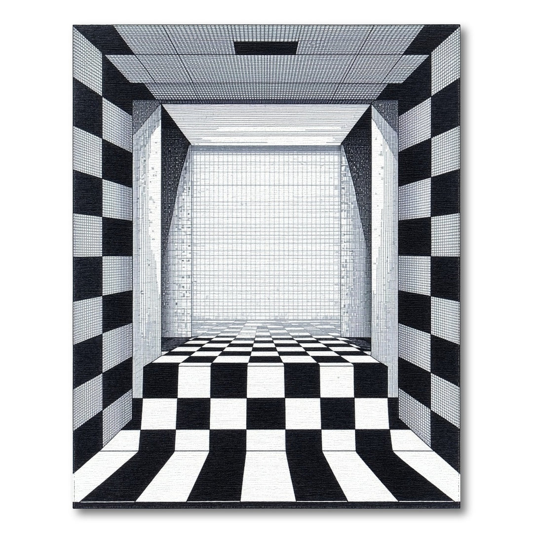 Black White Checkered Perspective Area Rug