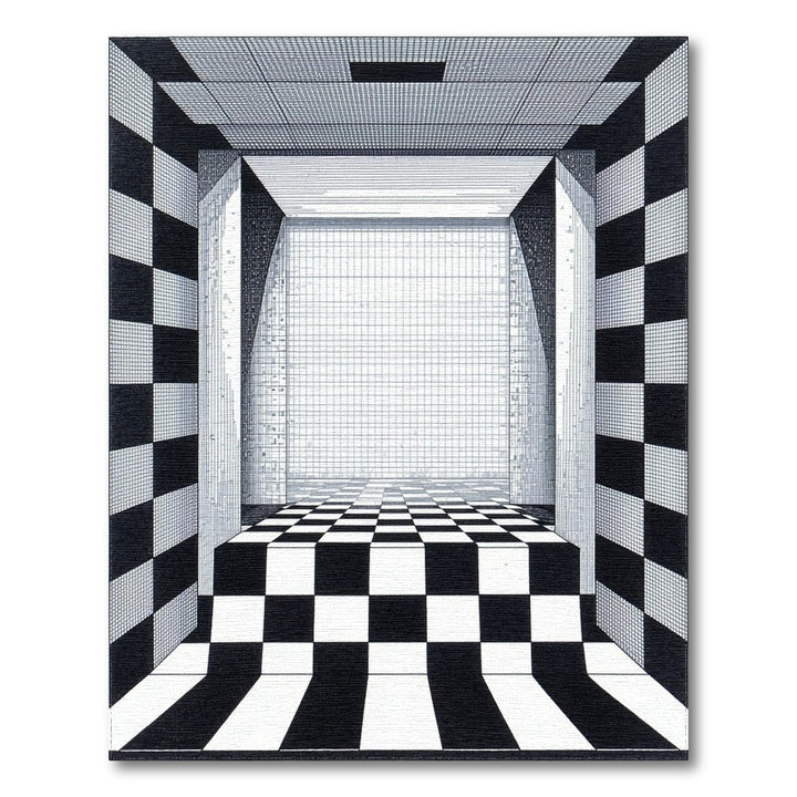 Black White Checkered Perspective Area Rug