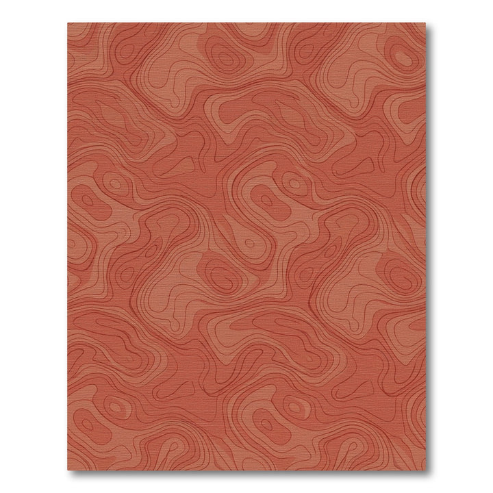 Terra Cotta Contour Topography Rug