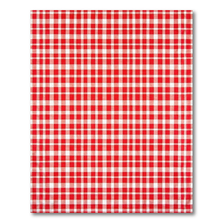 Red Checkered Rustic Area Rug
