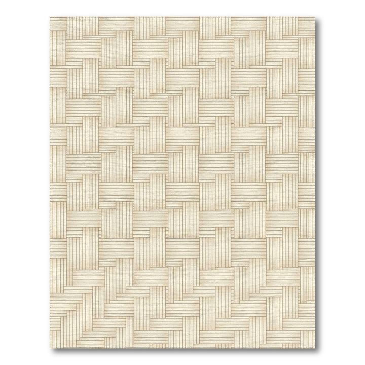 Natural Woven Beige Basketweave Rug
